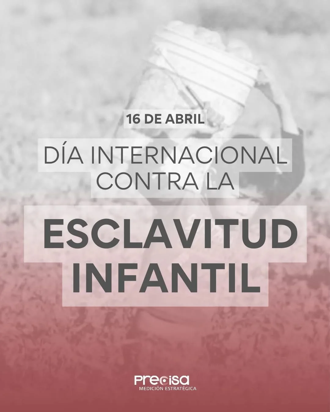 Investigación cualitativa para decisiones estratégicas